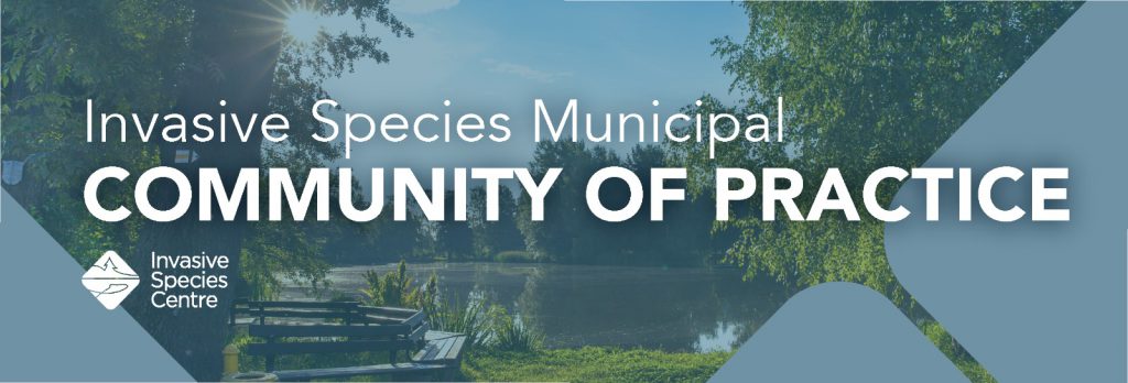 Municipal Community of Practice