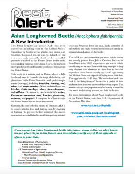 Asian Longhorned Beetle – Profile | Invasive Species Centre