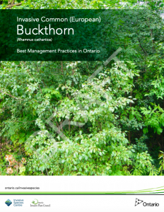 Buckthorn Best Management Practices