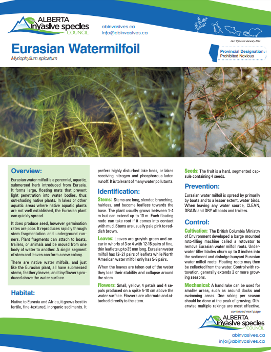Eurasian Water Milfoil AISC Fact Sheet