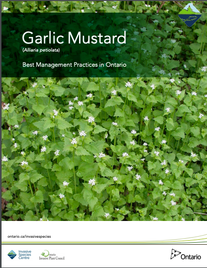 Garlic Mustard Best Management Practices