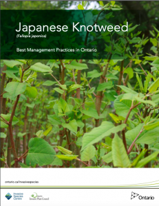 Japanese Knotweed Best Management Practice