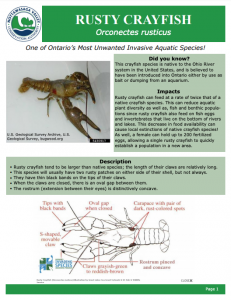 Rusty Crayfish - Profile and Resources