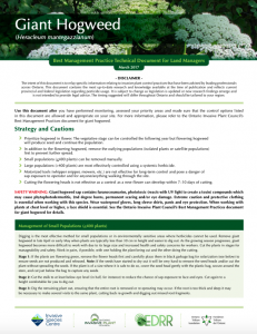 Technical Bulletin Giant Hogweed