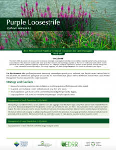 Technical Bulletin Purple Loosestrife