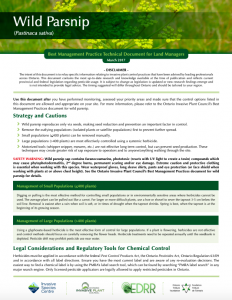 Technical Bulletin Wild Parsnip