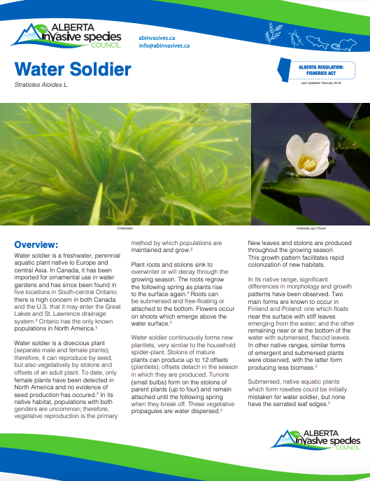 Water soldier fact sheet AISC