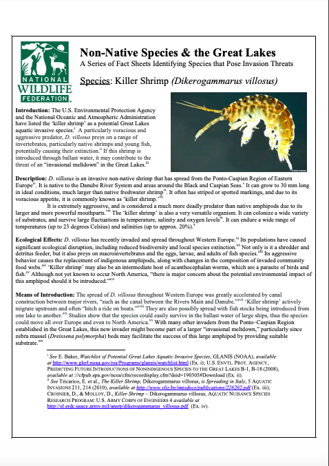 killer shrimp fact sheet