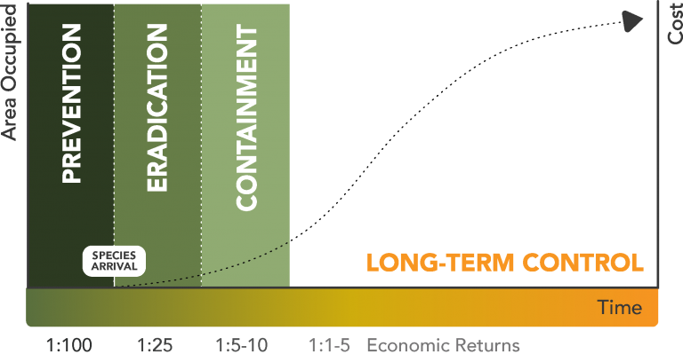 Invasion Curve