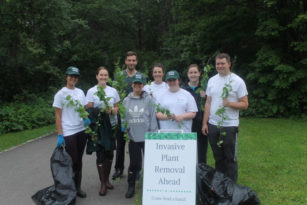 Garlic Mustard Pull 2018