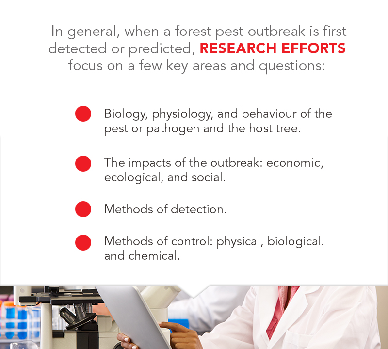 research efforts graphic