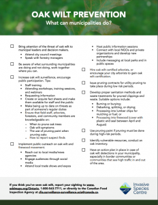 Oak Wilt Prevention Checklist