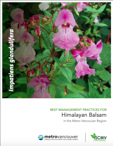 Himalayan Balsam Best Management Practice