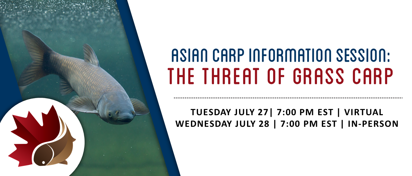 The Threat of Grass Carp to the Canadian Waters of the Great Lakes -  Information Sessions July 27 and 28 – Invasive Species Centre