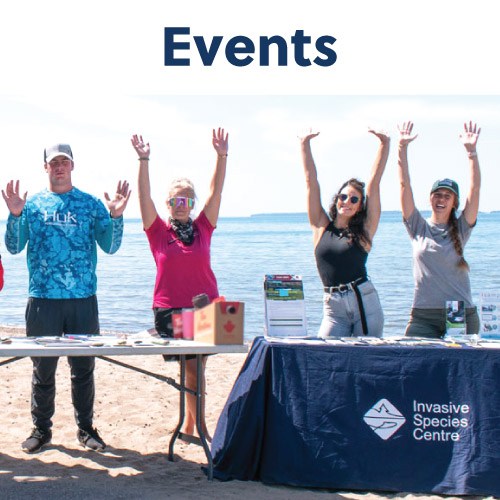 events