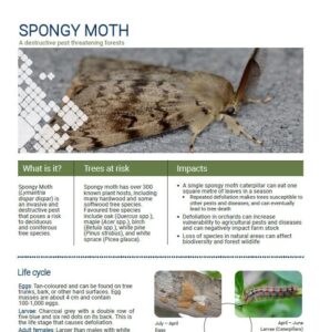 Invasive Species Resources – Invasive Species Centre