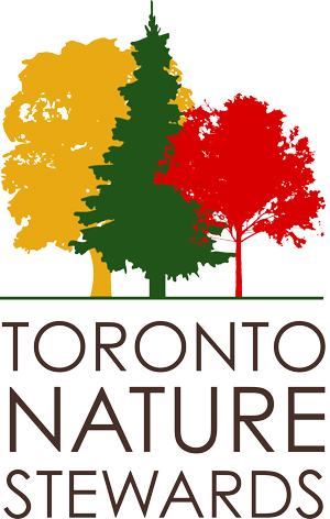 Toronto nature stewards