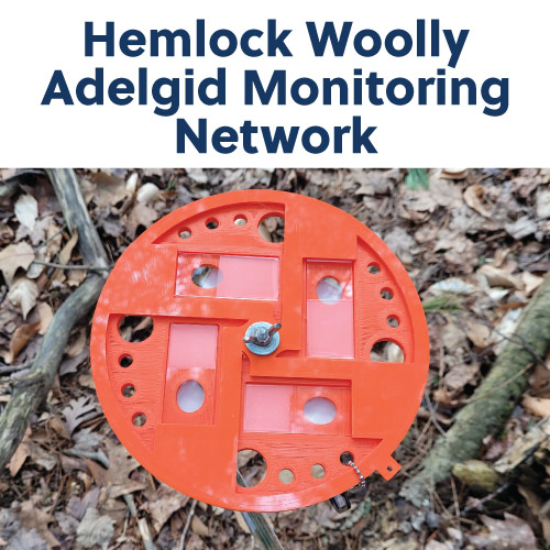 Hemlock Woolly Adelgid monitoring network