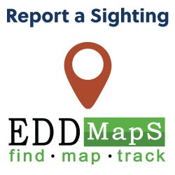 Report A Sighting – Invasive Species Centre